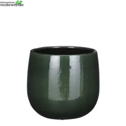 Pot Pablo D21h19cm Donkergroen