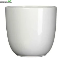 Pot Tusca D39h34.5cm Wit Glans