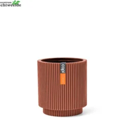 Vaas Cilinder Groove D23h25 Merlot