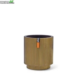 Vaas Cilinder Groove D23h25 Zw/gd