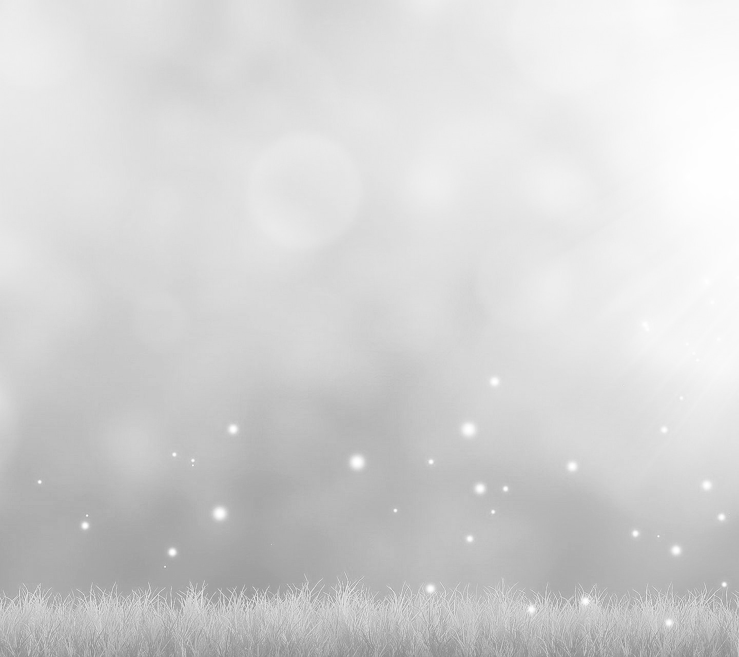 Tuin Blik Verkoopwinkel -Tuin Blik Verkoopwinkel sunlight nature grass field insect green 360289 wallhere.com2